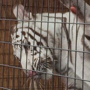 Meet your Posher, Vicki